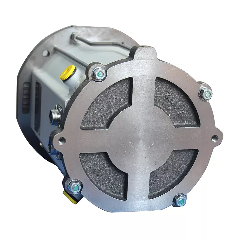 Fully Sealed Induction Motor