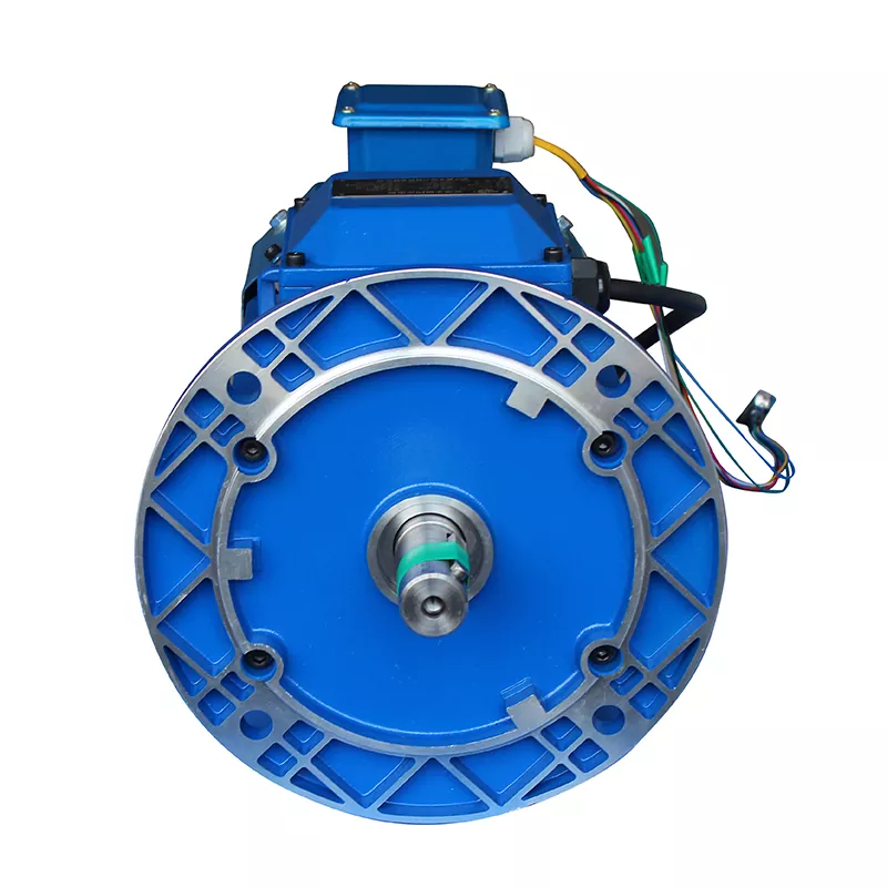 IP65 Permanent Magnet Synchronous Motor